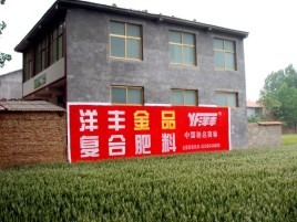 山阳如何让墙体广告展现最大化效果