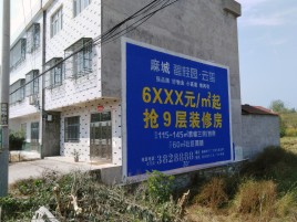 山阳墙体广告质量分析