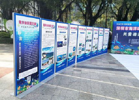 山阳KT板的种类和知识。